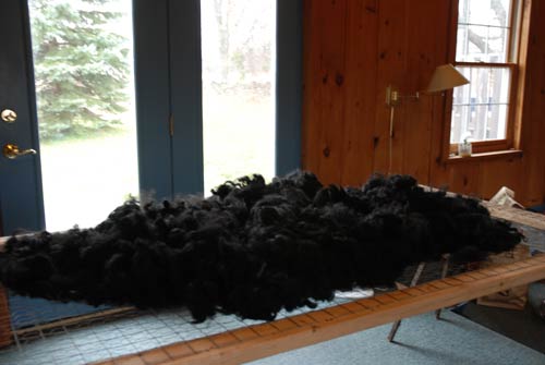 Alpaca fleece washed black