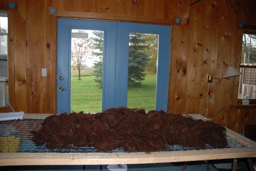 Alpaca fleece washed brown